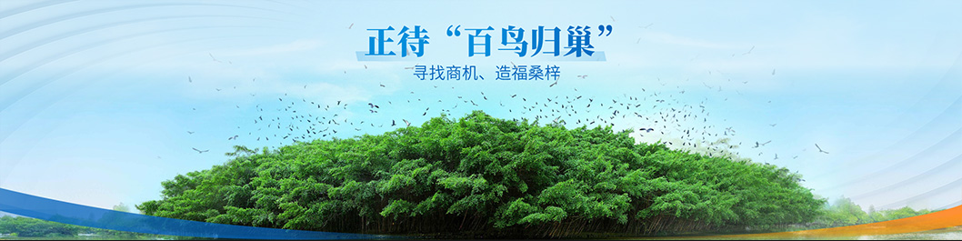 江門招商大會(huì)內(nèi)頁(yè)7.jpg